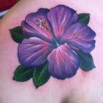 photo tattoo hibiscus 29.11.2018 №176 - flower hibiscus tattoo drawing - tattoovalue.net