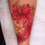 photo tattoo hibiscus 29.11.2018 №178 - flower hibiscus tattoo drawing - tattoovalue.net