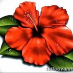 photo tattoo hibiscus 29.11.2018 №179 - flower hibiscus tattoo drawing - tattoovalue.net