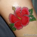 photo tattoo hibiscus 29.11.2018 №180 - flower hibiscus tattoo drawing - tattoovalue.net