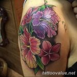 photo tattoo hibiscus 29.11.2018 №186 - flower hibiscus tattoo drawing - tattoovalue.net