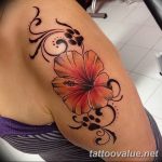 photo tattoo hibiscus 29.11.2018 №188 - flower hibiscus tattoo drawing - tattoovalue.net