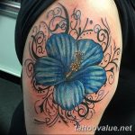 photo tattoo hibiscus 29.11.2018 №190 - flower hibiscus tattoo drawing - tattoovalue.net