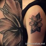 photo tattoo hibiscus 29.11.2018 №192 - flower hibiscus tattoo drawing - tattoovalue.net