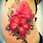 photo tattoo hibiscus 29.11.2018 №197 - flower hibiscus tattoo drawing - tattoovalue.net