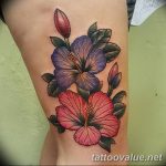 photo tattoo hibiscus 29.11.2018 №198 - flower hibiscus tattoo drawing - tattoovalue.net