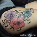 photo tattoo hibiscus 29.11.2018 №199 - flower hibiscus tattoo drawing - tattoovalue.net