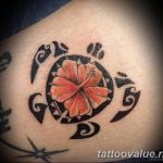 photo tattoo hibiscus 29.11.2018 №202 - flower hibiscus tattoo drawing - tattoovalue.net