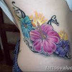 photo tattoo hibiscus 29.11.2018 №204 - flower hibiscus tattoo drawing - tattoovalue.net