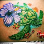 photo tattoo hibiscus 29.11.2018 №206 - flower hibiscus tattoo drawing - tattoovalue.net