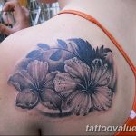 photo tattoo hibiscus 29.11.2018 №207 - flower hibiscus tattoo drawing - tattoovalue.net