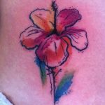 photo tattoo hibiscus 29.11.2018 №208 - flower hibiscus tattoo drawing - tattoovalue.net