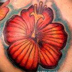 photo tattoo hibiscus 29.11.2018 №212 - flower hibiscus tattoo drawing - tattoovalue.net
