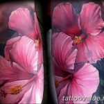 photo tattoo hibiscus 29.11.2018 №216 - flower hibiscus tattoo drawing - tattoovalue.net