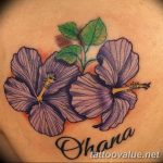 photo tattoo hibiscus 29.11.2018 №217 - flower hibiscus tattoo drawing - tattoovalue.net