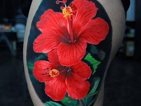 photo tattoo hibiscus 29.11.2018 №220 - flower hibiscus tattoo drawing - tattoovalue.net