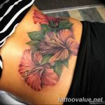 photo tattoo hibiscus 29.11.2018 №221 - flower hibiscus tattoo drawing - tattoovalue.net
