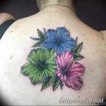 photo tattoo hibiscus 29.11.2018 №222 - flower hibiscus tattoo drawing - tattoovalue.net