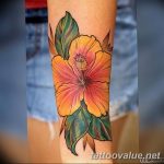 photo tattoo hibiscus 29.11.2018 №223 - flower hibiscus tattoo drawing - tattoovalue.net