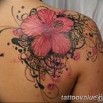 photo tattoo hibiscus 29.11.2018 №225 - flower hibiscus tattoo drawing - tattoovalue.net