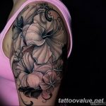 photo tattoo hibiscus 29.11.2018 №226 - flower hibiscus tattoo drawing - tattoovalue.net