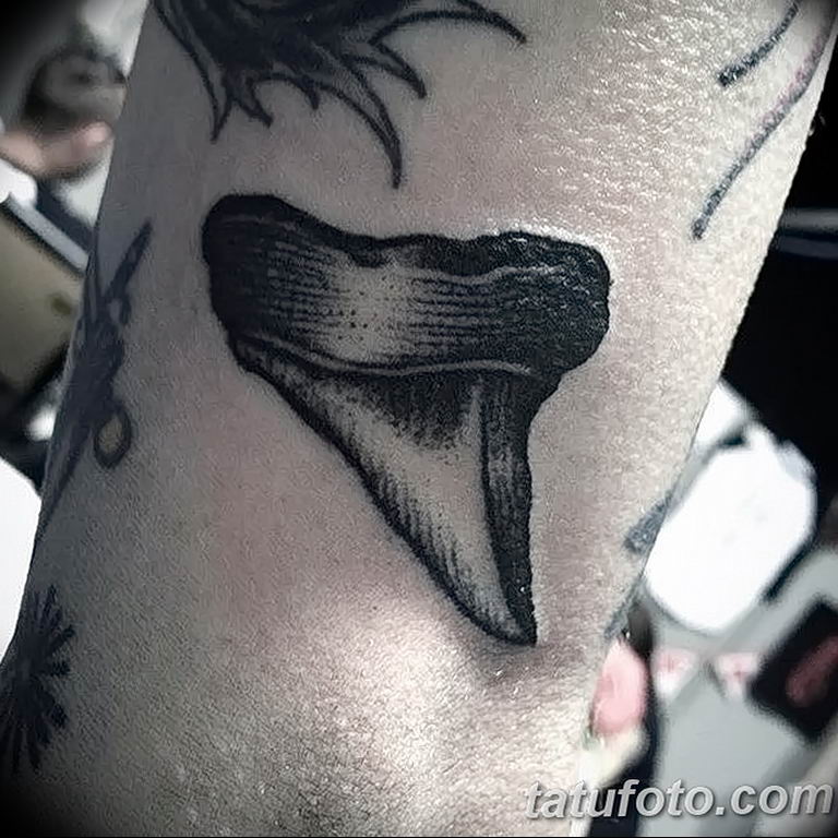 photo tattoo tooth 29.12.2018 №162 - going for a tooth tattoo - tattoovalue.net