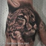 Photo tattoo cheetah 22.01.2019 №020 - tattoo cheetah example of drawing - tattoovalue.net