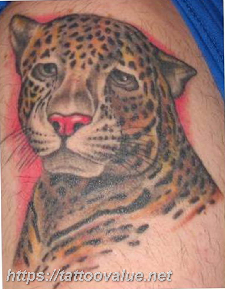 Photo tattoo cheetah 22.01.2019 № 524 - tattoo cheetah example of drawing -...