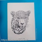 Photo tattoo cheetah 22.01.2019 №575 - tattoo cheetah example of drawing - tattoovalue.net