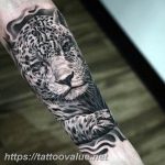 Photo tattoo cheetah 22.01.2019 №002 - tattoo cheetah example of drawing - tattoovalue.net