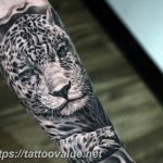 Photo tattoo cheetah 22.01.2019 №003 - tattoo cheetah example of drawing - tattoovalue.net