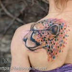 Photo tattoo cheetah 22.01.2019 №005 - tattoo cheetah example of drawing - tattoovalue.net