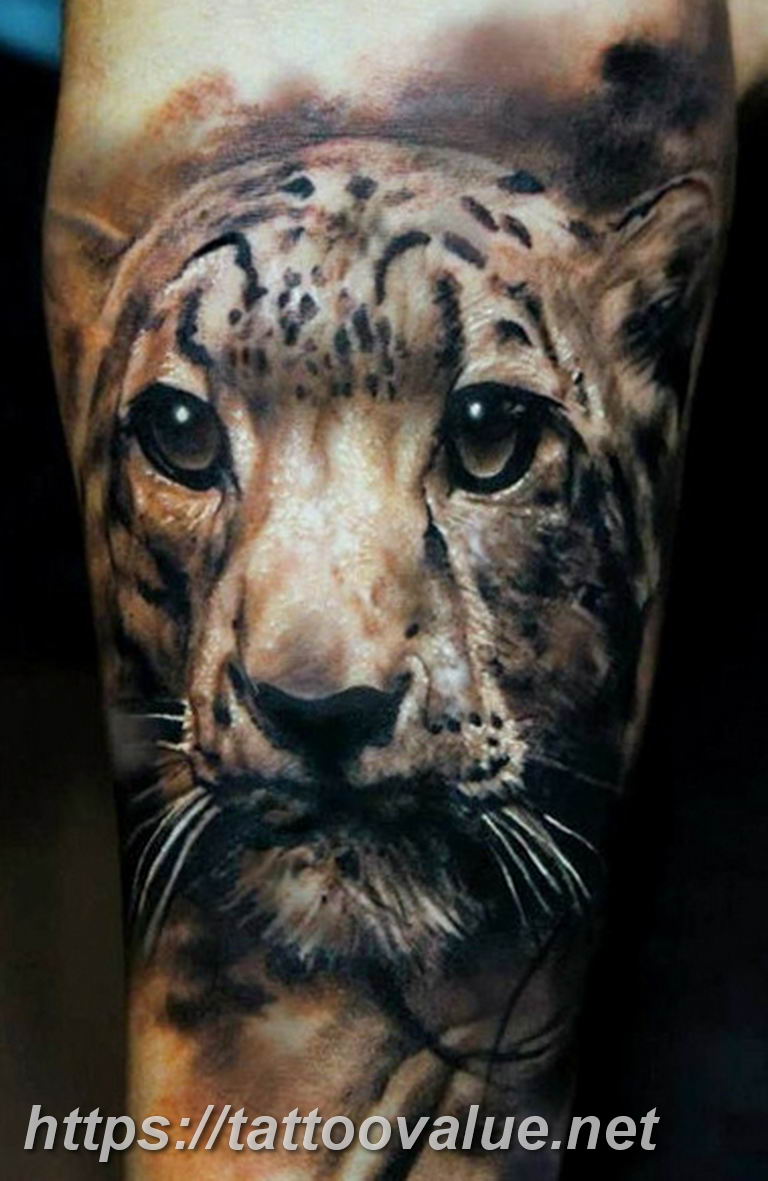 Photo tattoo cheetah 22.01.2019 №007 - tattoo cheetah example of drawing - tattoovalue.net