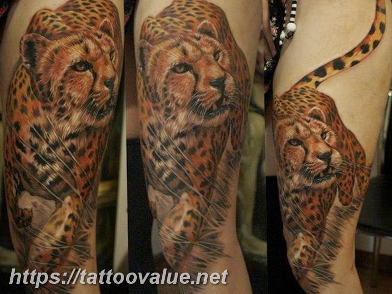 Photo tattoo cheetah 22.01.2019 №011 - tattoo cheetah example of drawing - tattoovalue.net