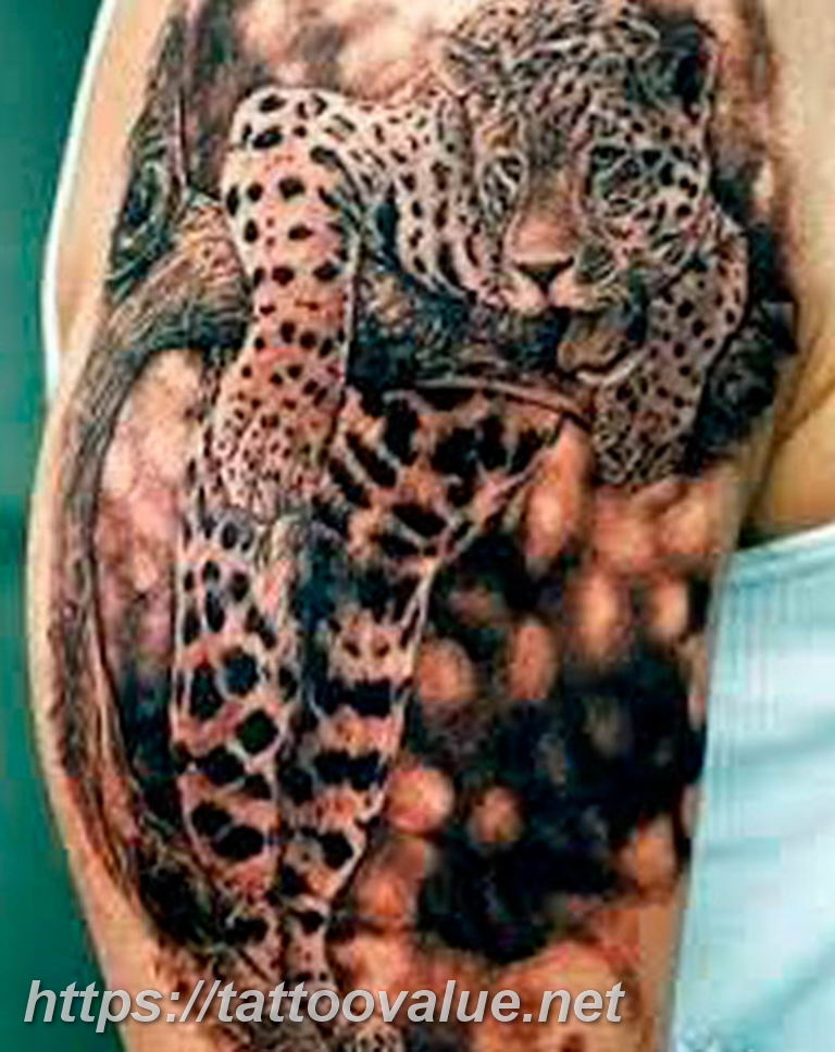 Photo tattoo cheetah 22.01.2019 №016 - tattoo cheetah example of drawing - tattoovalue.net
