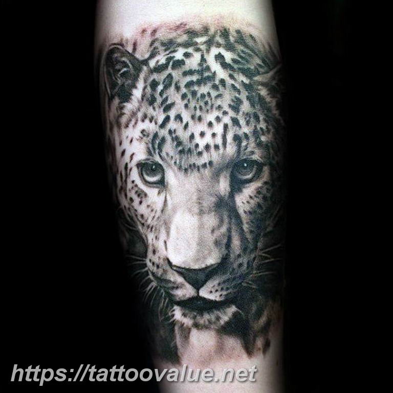Photo tattoo cheetah 22.01.2019 №019 - tattoo cheetah example of drawing - tattoovalue.net