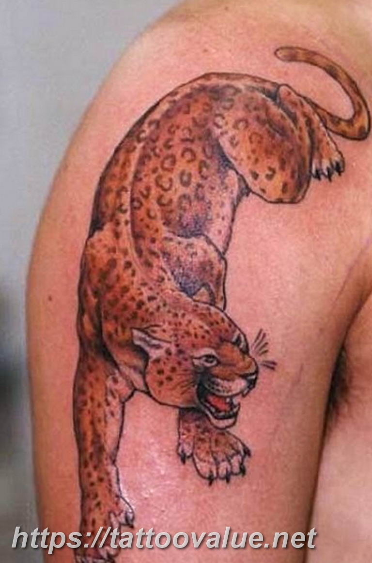 Photo tattoo cheetah 22.01.2019 №034 - tattoo cheetah example of drawing - tattoovalue.net