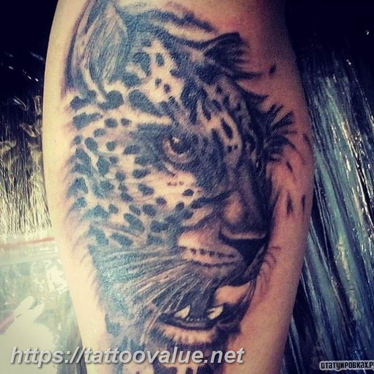 Photo tattoo cheetah 22.01.2019 №046 - tattoo cheetah example of drawing - tattoovalue.net