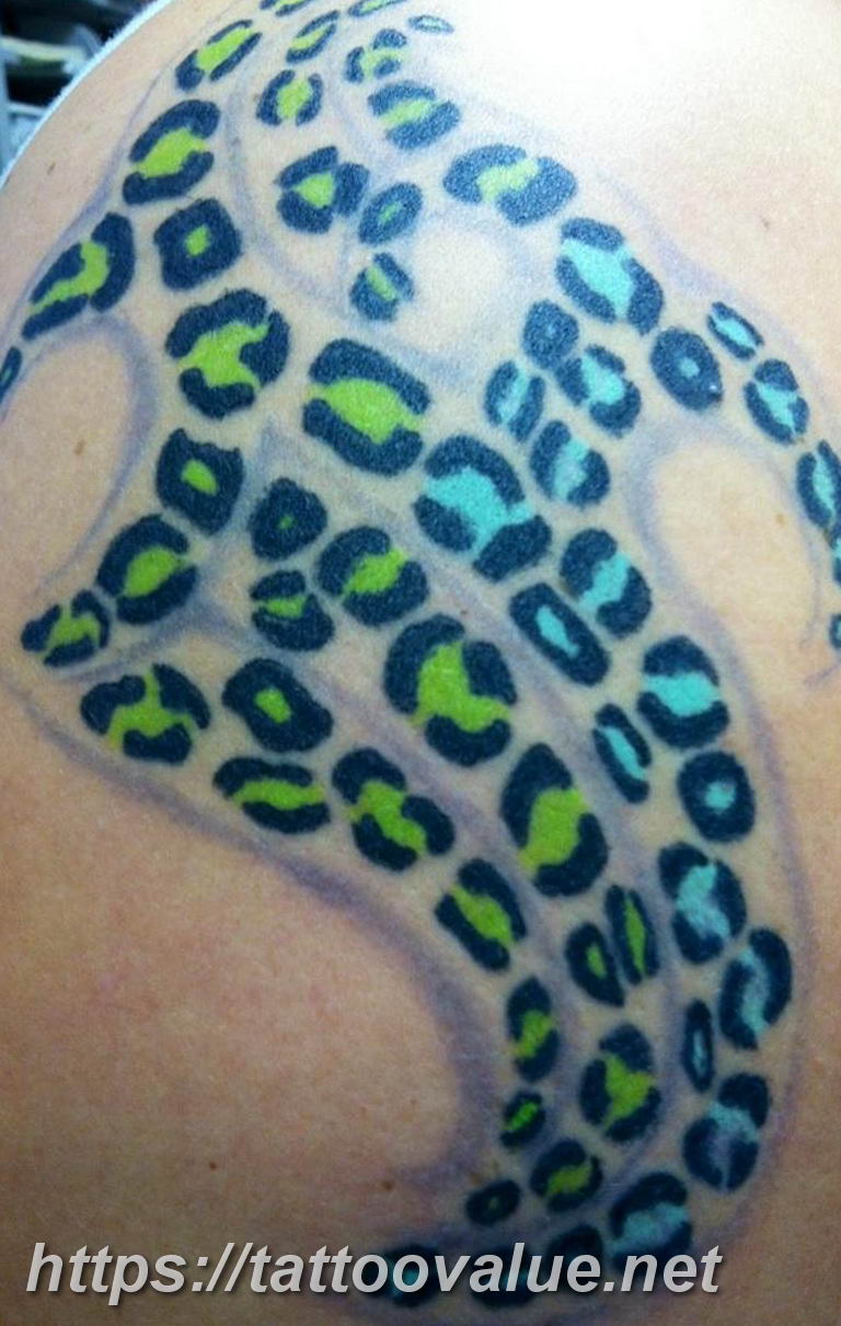 Photo tattoo cheetah 22.01.2019 №049 - tattoo cheetah example of drawing - tattoovalue.net
