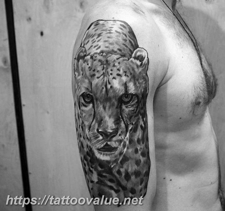 Photo tattoo cheetah 22.01.2019 №051 - tattoo cheetah example of drawing - tattoovalue.net