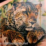 Photo tattoo cheetah 22.01.2019 №053 - tattoo cheetah example of drawing - tattoovalue.net