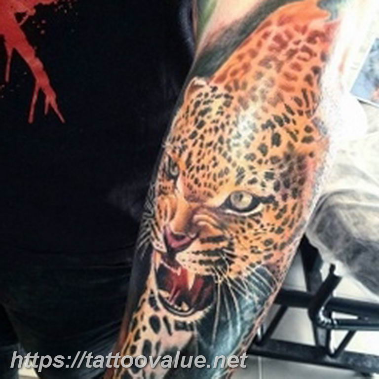 Photo tattoo cheetah 22.01.2019 №064 - tattoo cheetah example of drawing - tattoovalue.net