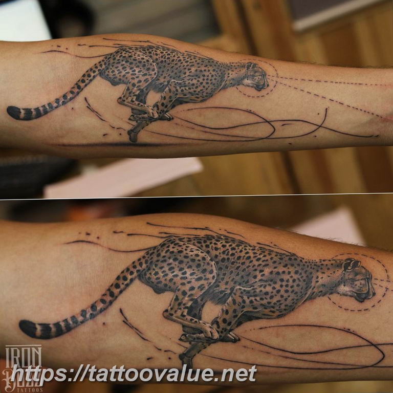 Photo tattoo cheetah 22.01.2019 №065 - tattoo cheetah example of drawing - tattoovalue.net