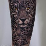 Photo tattoo cheetah 22.01.2019 №066 - tattoo cheetah example of drawing - tattoovalue.net