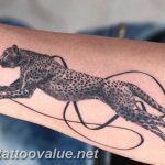 Photo tattoo cheetah 22.01.2019 №068 - tattoo cheetah example of drawing - tattoovalue.net