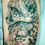 Photo tattoo cheetah 22.01.2019 №070 - tattoo cheetah example of drawing - tattoovalue.net