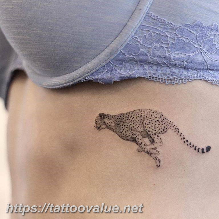 Photo tattoo cheetah 22.01.2019 №074 - tattoo cheetah example of drawing - tattoovalue.net