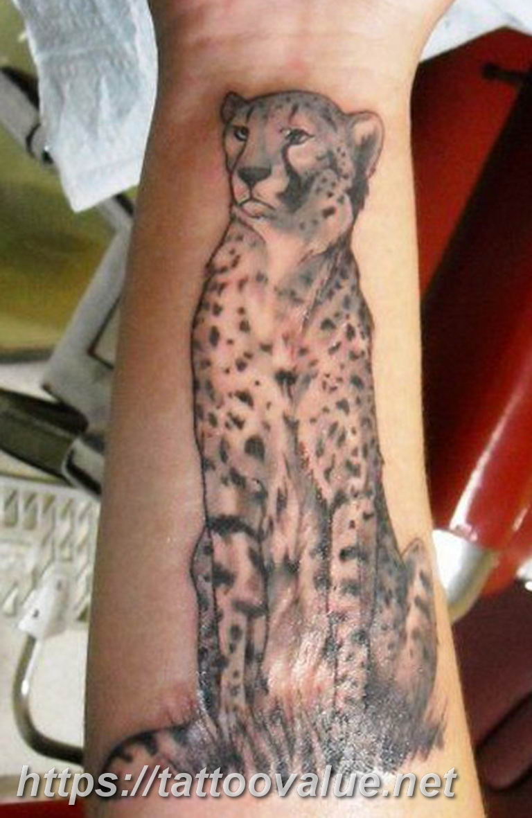Photo tattoo cheetah 22.01.2019 №075 - tattoo cheetah example of drawing - tattoovalue.net