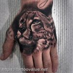 Photo tattoo cheetah 22.01.2019 №079 - tattoo cheetah example of drawing - tattoovalue.net