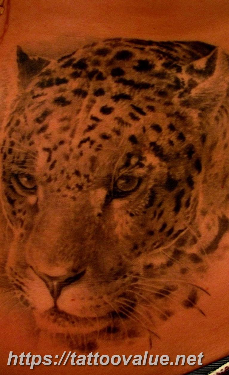 Photo tattoo cheetah 22.01.2019 №089 - tattoo cheetah example of drawing - tattoovalue.net